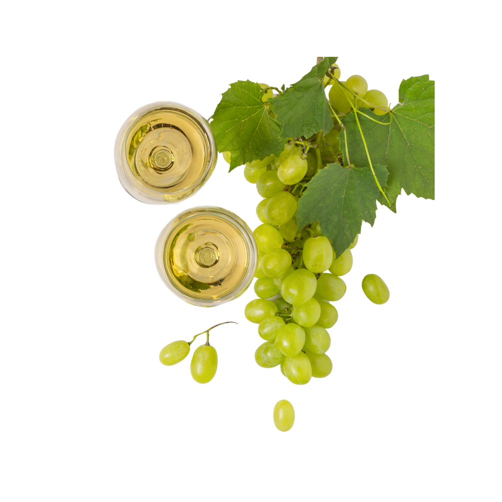 Chardonnay White Wine Vinegar